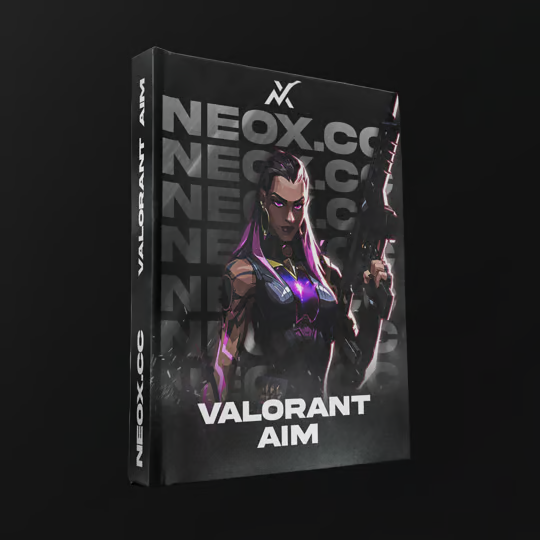 Valorant Basic Screenshot 1